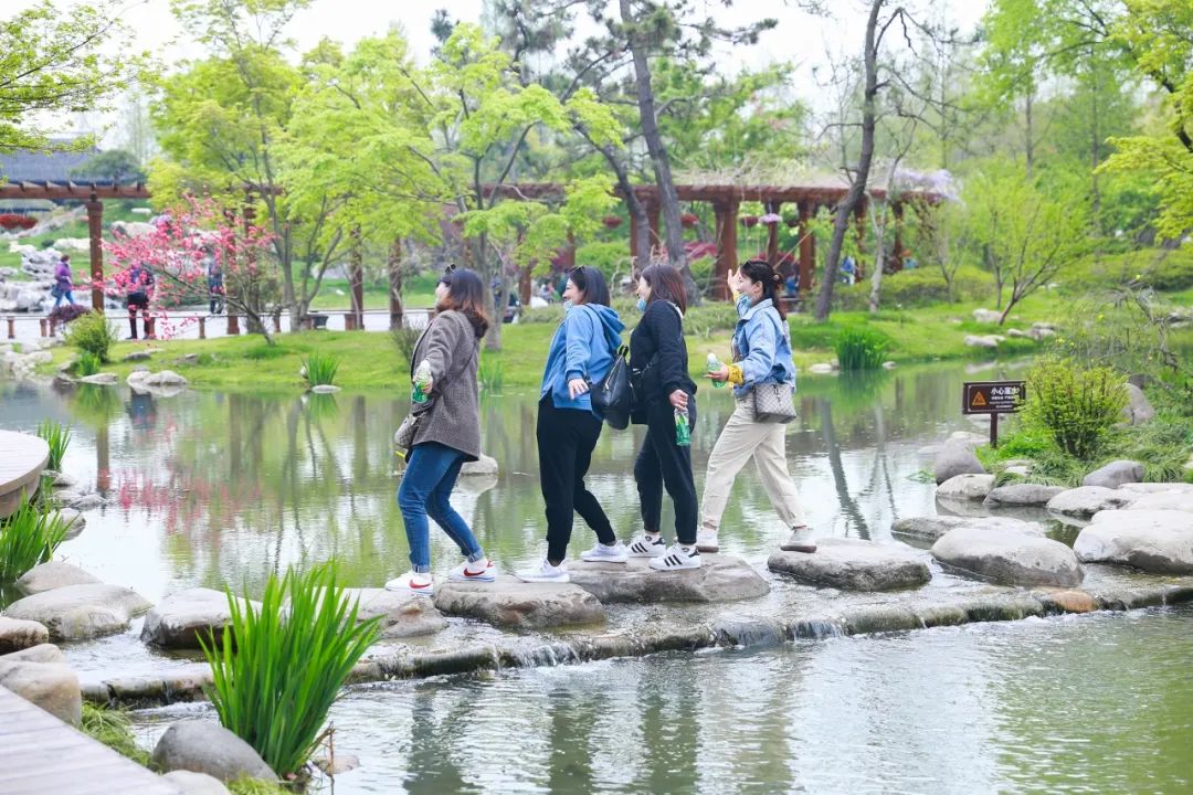 烟花三月【安心畅游瘦西湖】